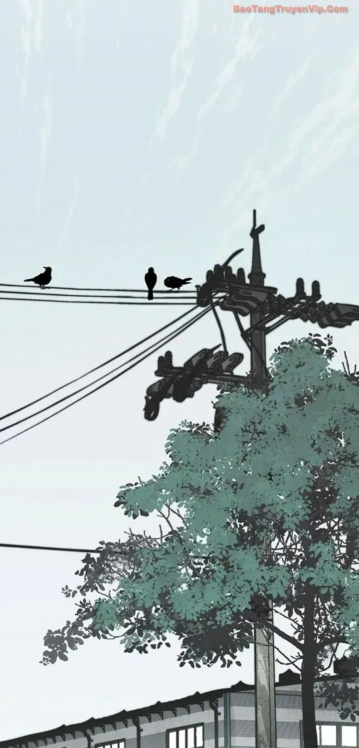 Người Đàn Ông Thực Thụ Chap 248 - Next Chap 249