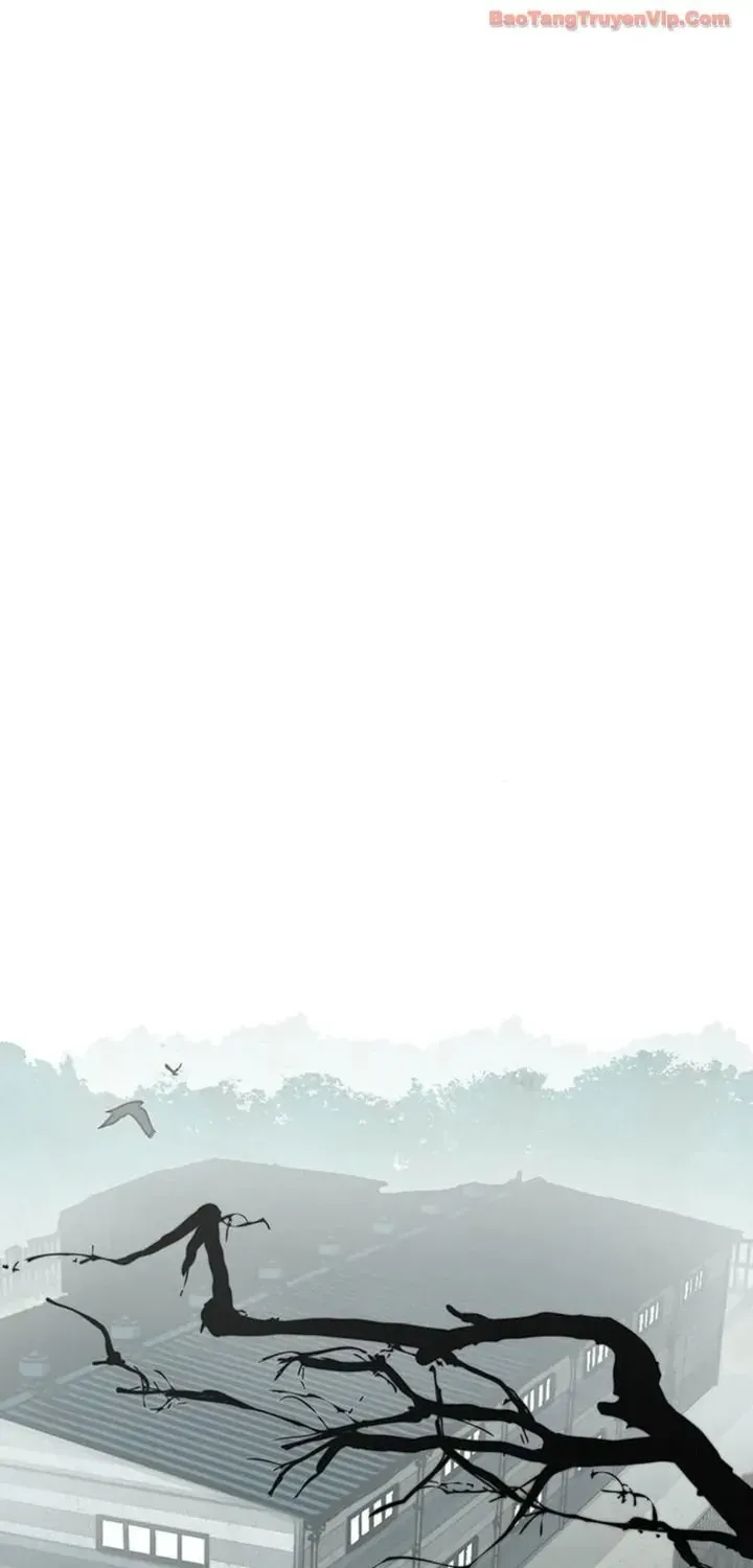 Người Đàn Ông Thực Thụ Chap 248 - Next Chap 249