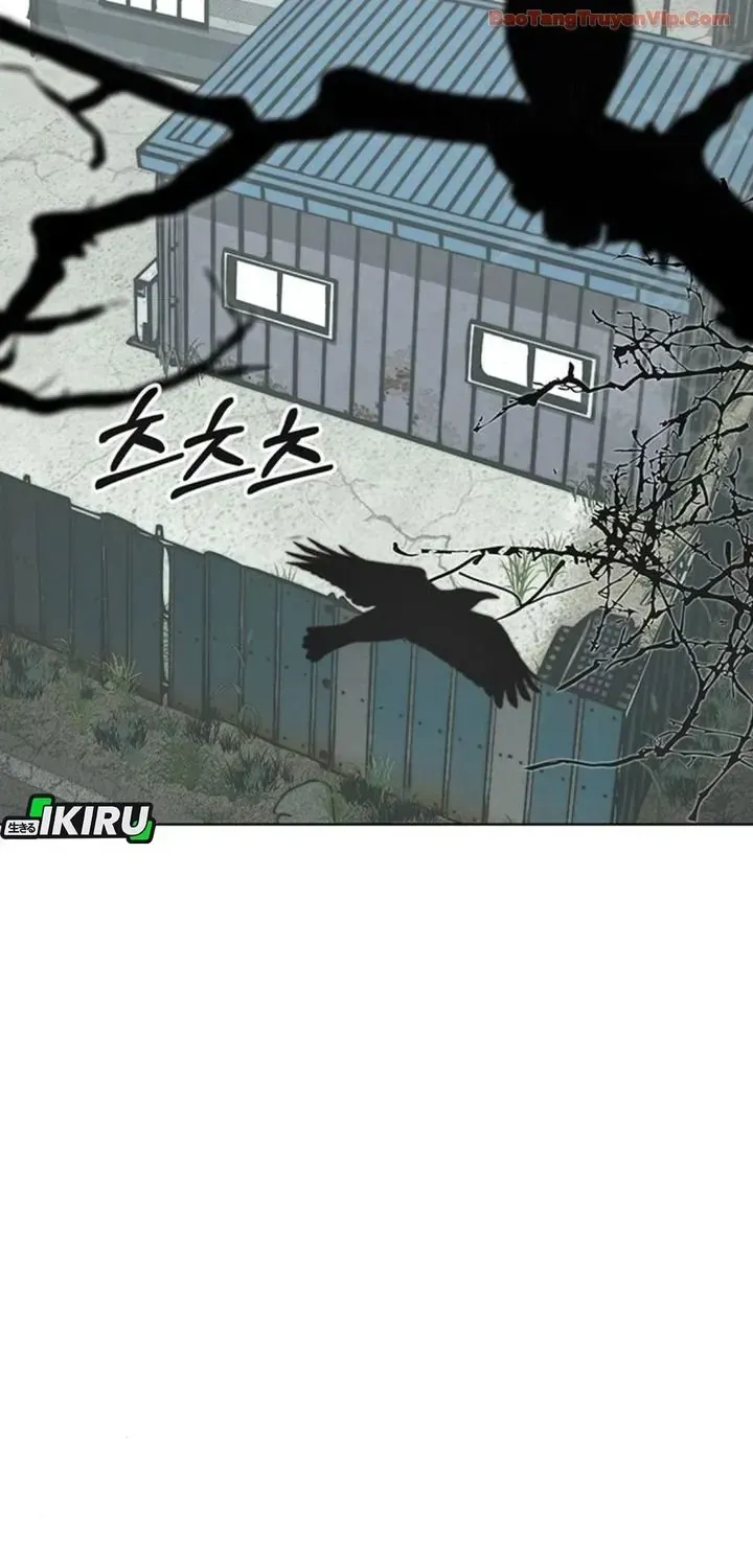 Người Đàn Ông Thực Thụ Chap 248 - Next Chap 249