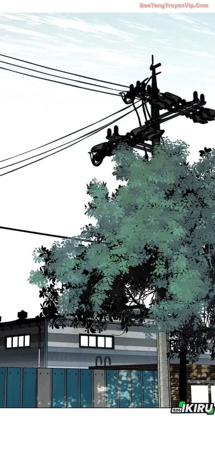 Người Đàn Ông Thực Thụ Chap 248 - Next Chap 249