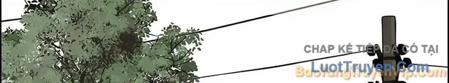 Người Đàn Ông Thực Thụ Chap 256 - Next Chap 257