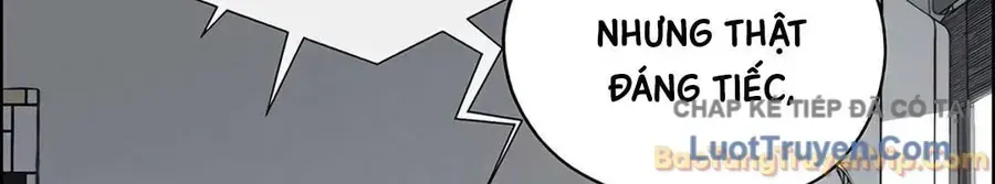 Người Đàn Ông Thực Thụ Chap 256 - Next Chap 257