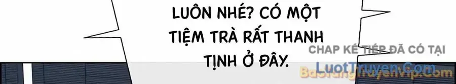 Người Đàn Ông Thực Thụ Chap 256 - Next Chap 257