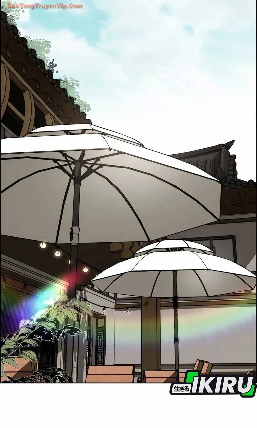 Người Đàn Ông Thực Thụ Chap 256 - Next Chap 257