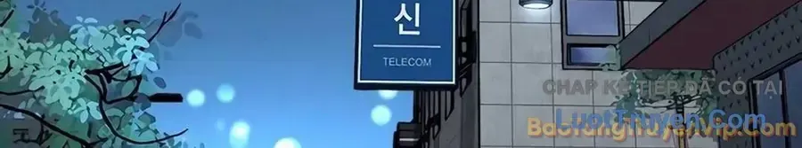 Người Đàn Ông Thực Thụ Chap 256 - Next Chap 257