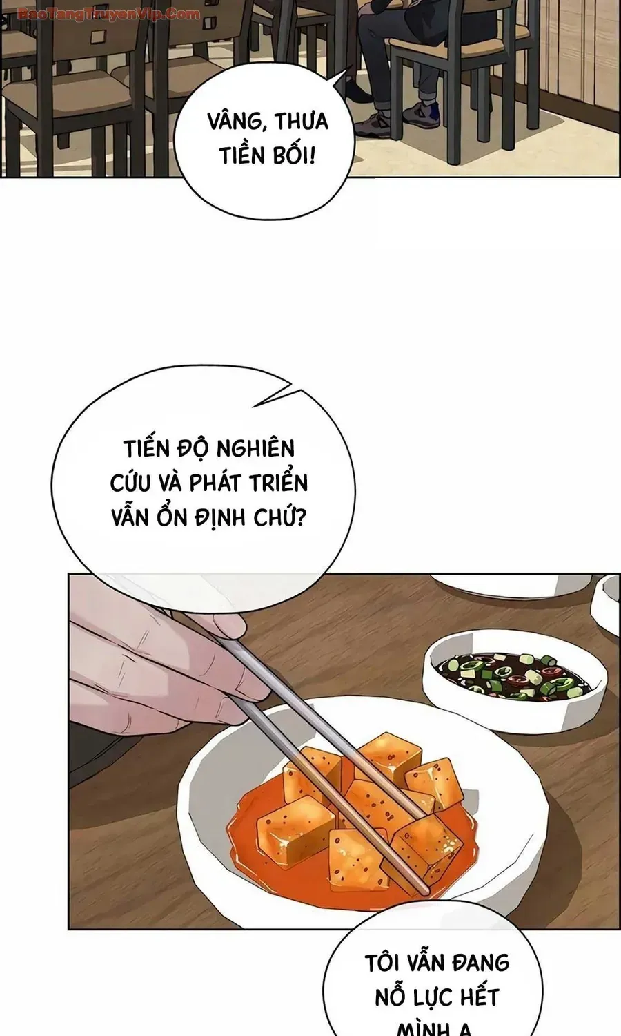 Người Đàn Ông Thực Thụ Chap 256 - Next Chap 257