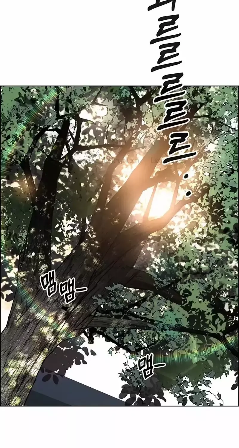 Người Đàn Ông Thực Thụ Chap 274 - Next Chap 275