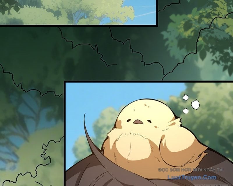 Người Khác Luyện Cấp Ta Tu Tiên, Tới Đại Thừa Kỳ Thì Rời Núi Chap 12 - Next Chap 13