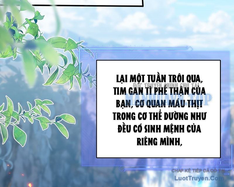 Người Khác Luyện Cấp Ta Tu Tiên, Tới Đại Thừa Kỳ Thì Rời Núi Chap 21 - Next Chap 22