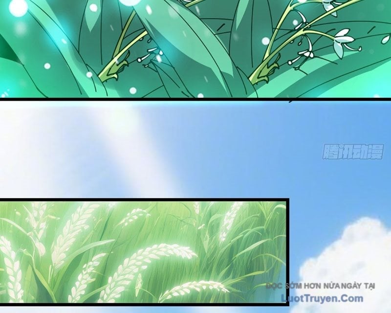 Người Khác Luyện Cấp Ta Tu Tiên, Tới Đại Thừa Kỳ Thì Rời Núi Chap 7 - Next Chap 8