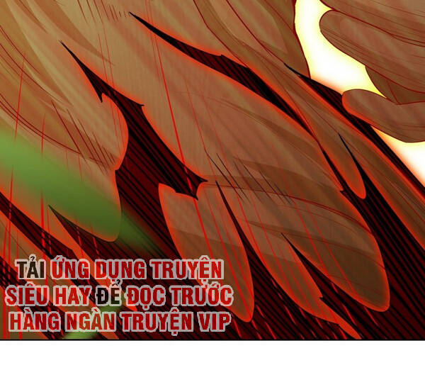 Người Ở Rể Bị Ép Thành Phản Diện Chap 95 - Next Chap 96