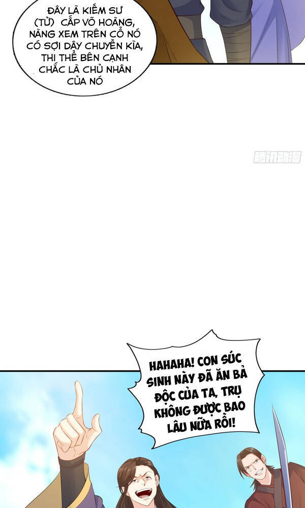 Người Ở Rể Bị Ép Thành Phản Diện Chap 96 - Next Chap 97
