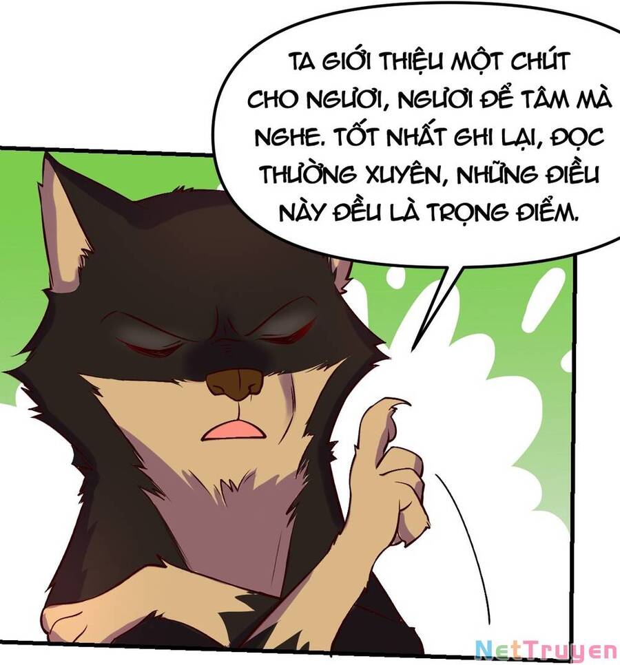 Nguyên Lai Ta Là Tu Tiên Đại Lão Chap 156 - Next Chap 157