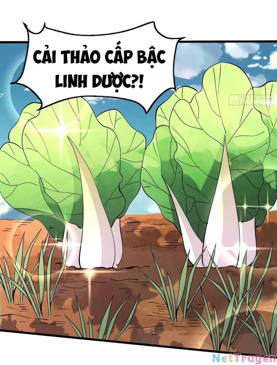 Nguyên Lai Ta Là Tu Tiên Đại Lão Chap 157 - Next Chap 158