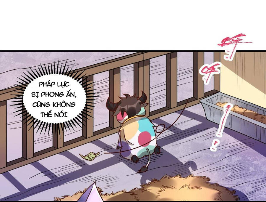 Nguyên Lai Ta Là Tu Tiên Đại Lão Chap 217 - Next Chap 218