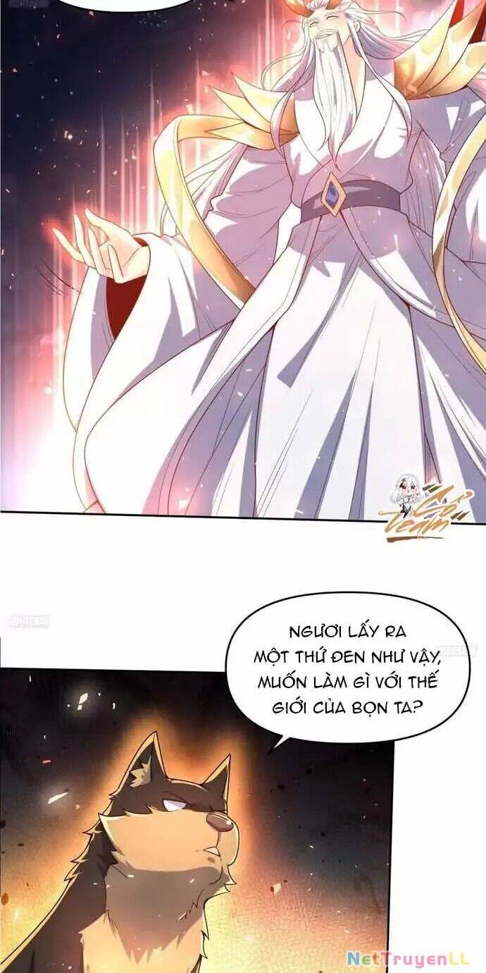Nguyên Lai Ta Là Tu Tiên Đại Lão Chap 430 - Next Chap 431