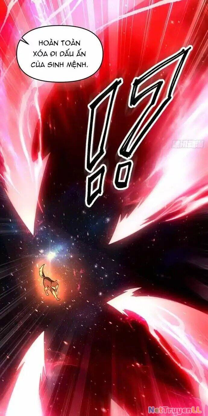 Nguyên Lai Ta Là Tu Tiên Đại Lão Chap 430 - Next Chap 431