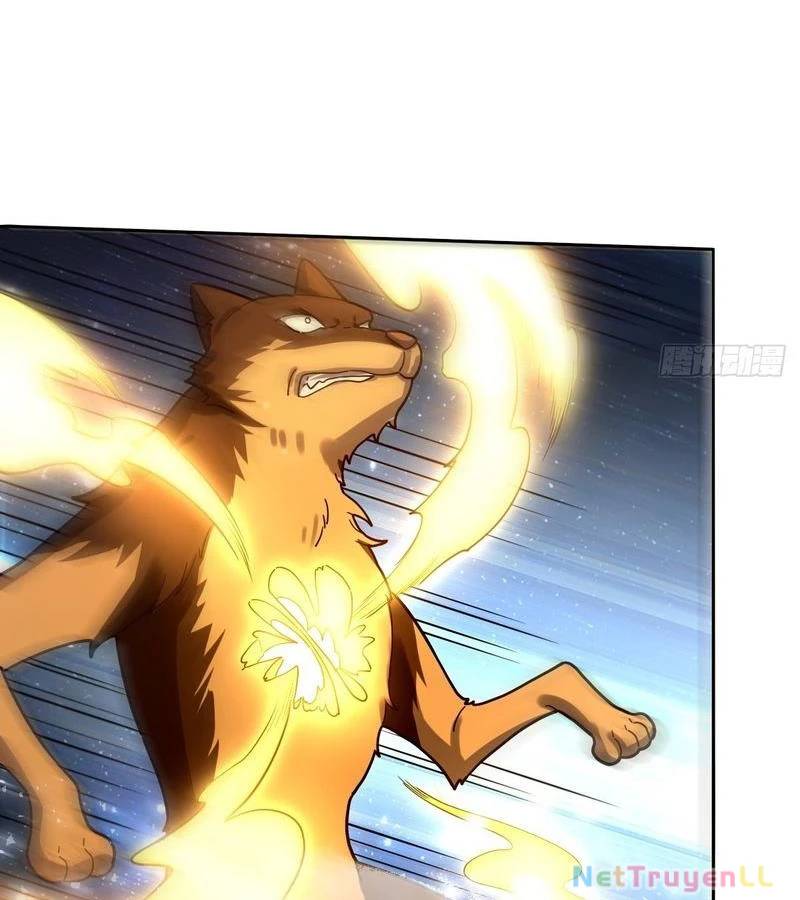 Nguyên Lai Ta Là Tu Tiên Đại Lão Chap 431 - Next Chap 432