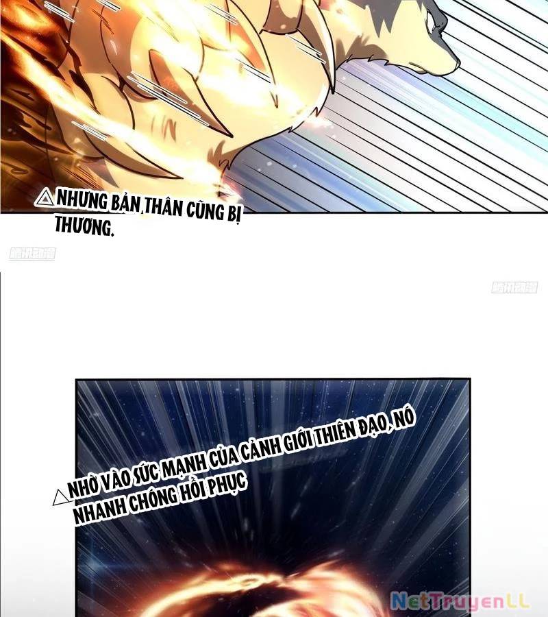 Nguyên Lai Ta Là Tu Tiên Đại Lão Chap 431 - Next Chap 432