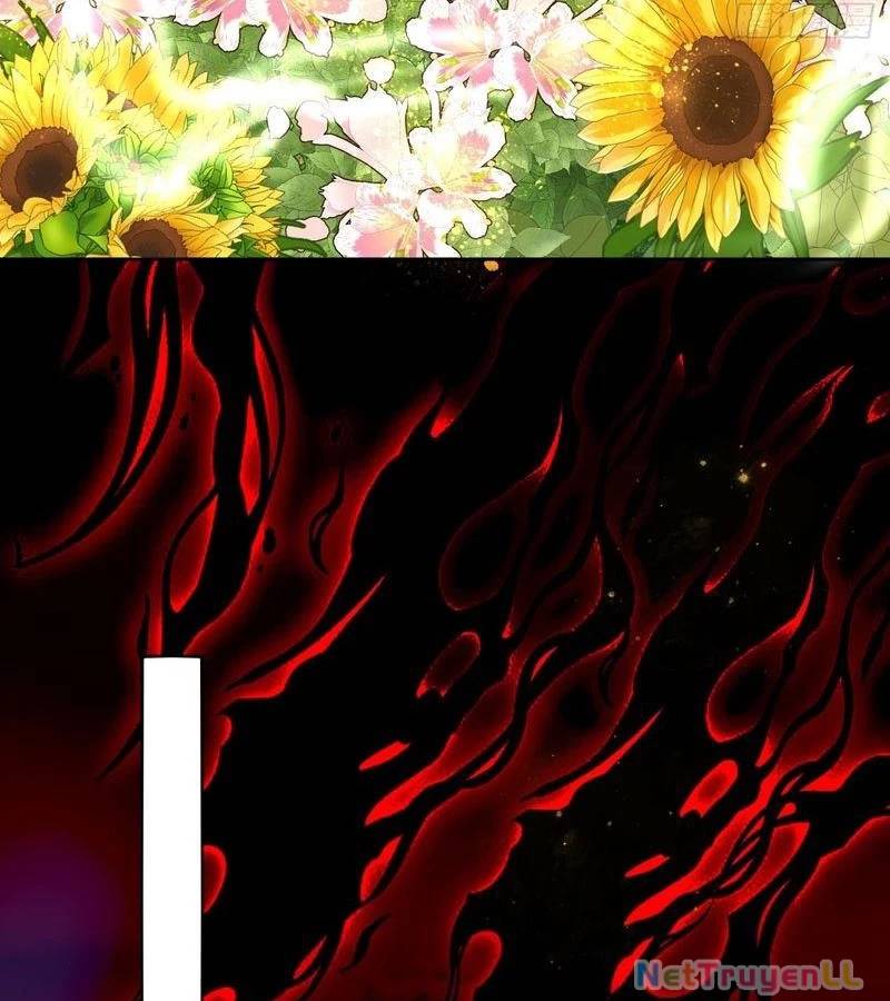 Nguyên Lai Ta Là Tu Tiên Đại Lão Chap 434 - Next Chap 435