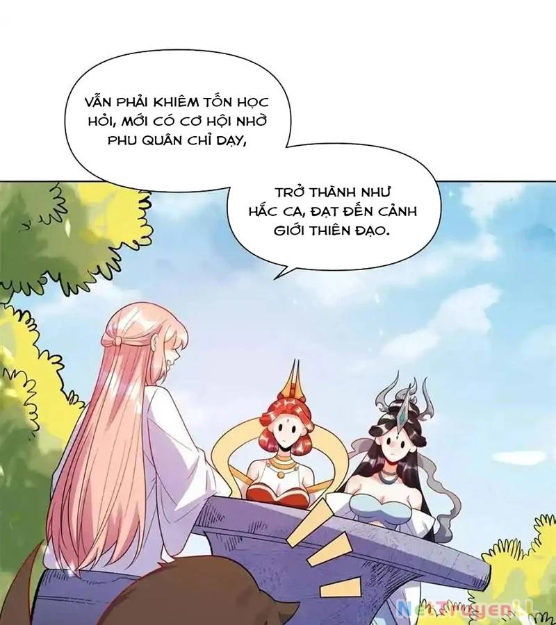 Nguyên Lai Ta Là Tu Tiên Đại Lão Chap 435 - Next Chap 436