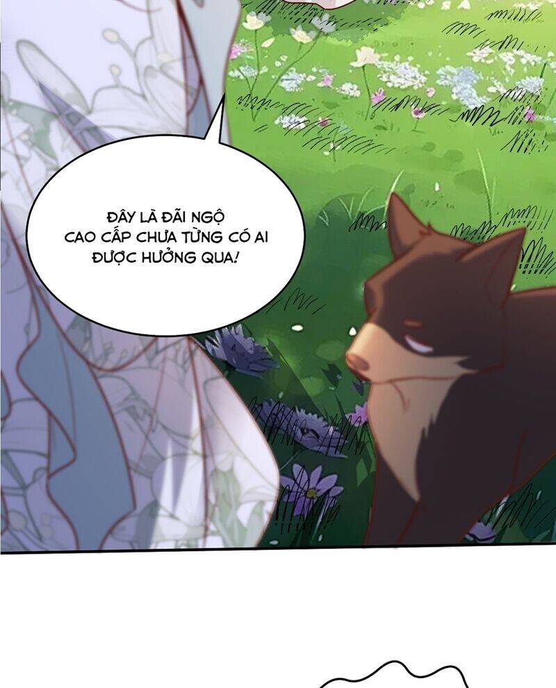 Nguyên Lai Ta Là Tu Tiên Đại Lão Chap 488 - Next Chap 489