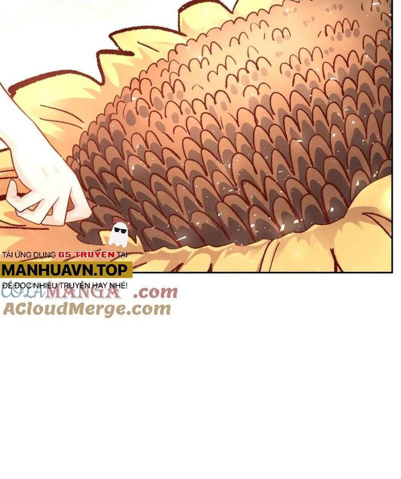 Nguyên Lai Ta Là Tu Tiên Đại Lão Chap 505 - Next Chap 506