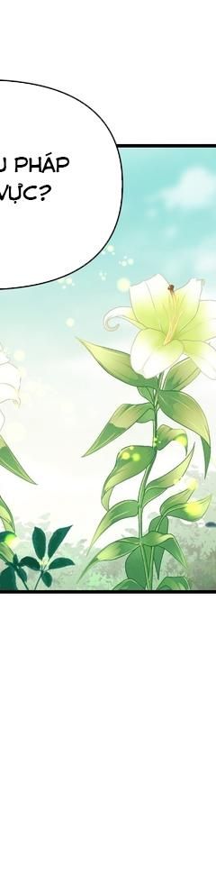 Nguyên Lai Ta Là Tu Tiên Đại Lão Chap 506 - Next Chap 507