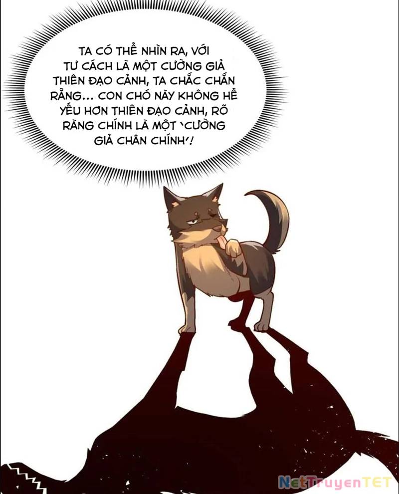 Nguyên Lai Ta Là Tu Tiên Đại Lão Chap 526 - Next Chap 527