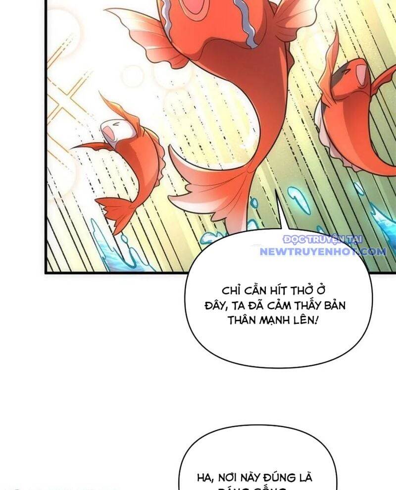 Nguyên Lai Ta Là Tu Tiên Đại Lão Chap 527 - Next Chap 528