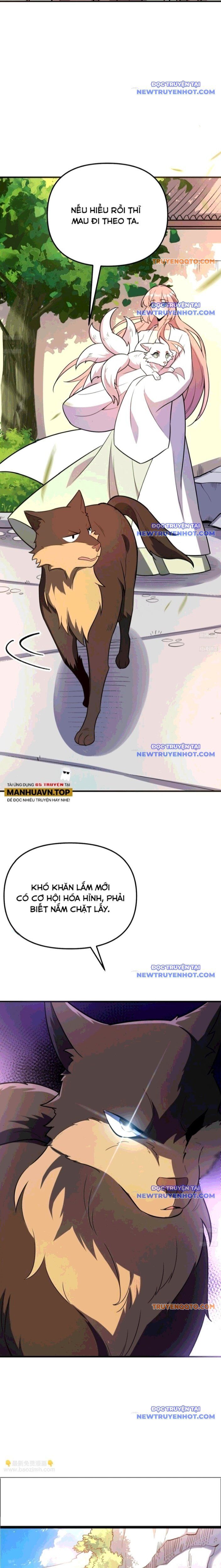 Nguyên Lai Ta Là Tu Tiên Đại Lão Chap 542 - Next Chap 543