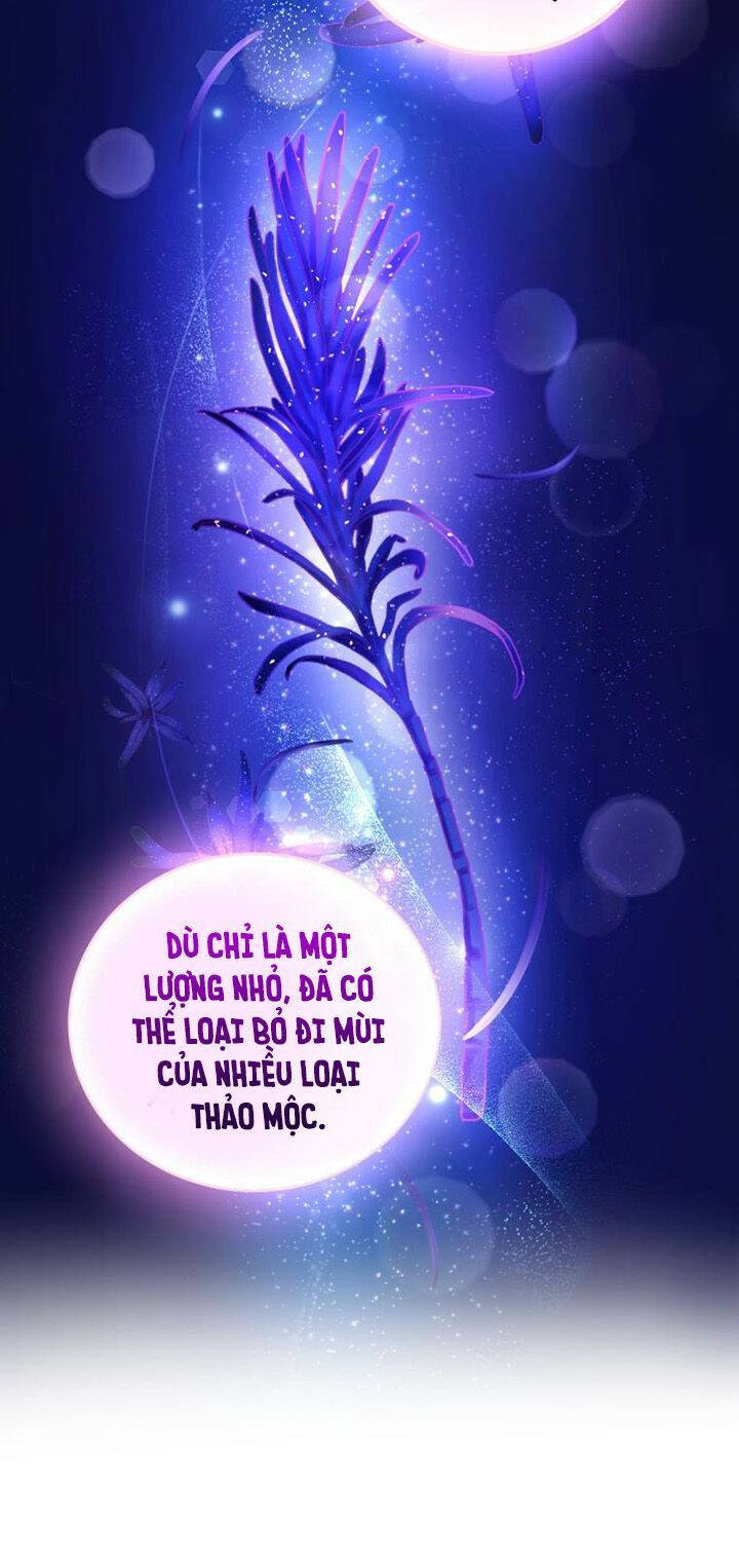 Nhà Điều Chế Nước Hoa Độc Quyền Của Bạo Chúa Chap 62 - Next Chap 63