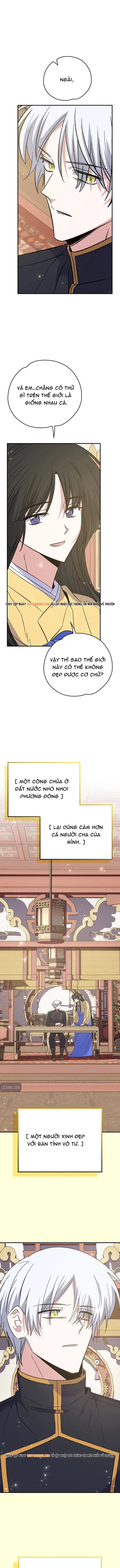 Nhà Hiền Triết Yigret Chap 127 - Next Chap 128