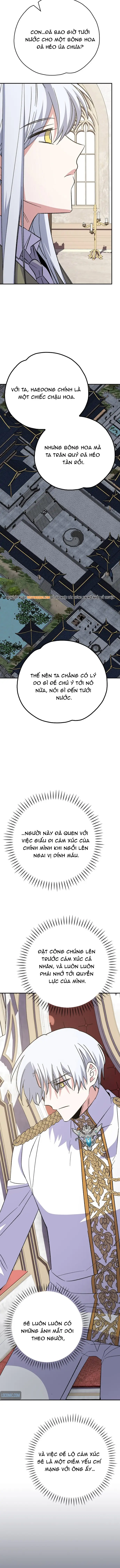 Nhà Hiền Triết Yigret Chap 127 - Next Chap 128