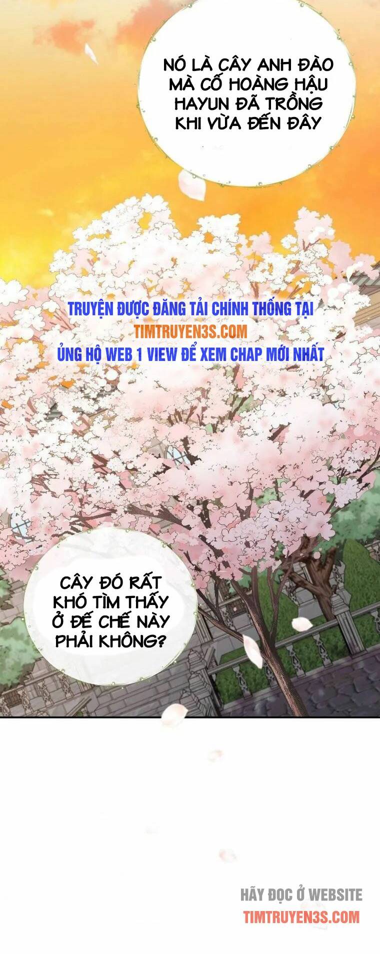 Nhà Hiền Triết Yigret Chap 41 - Next Chap 42
