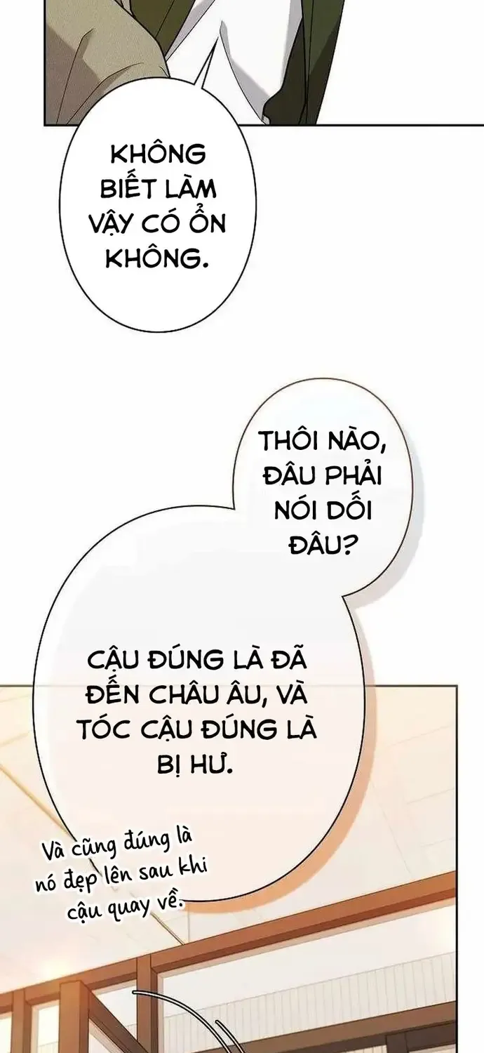 Nhà Thiết Kế Thiên Tài Hồi Quy Chap 62 - Next Chap 63
