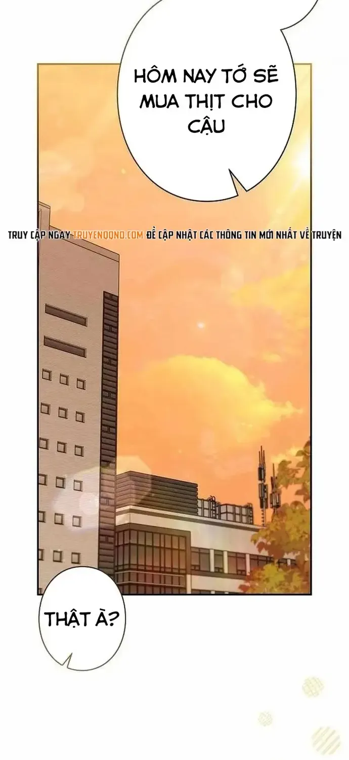 Nhà Thiết Kế Thiên Tài Hồi Quy Chap 62 - Next Chap 63