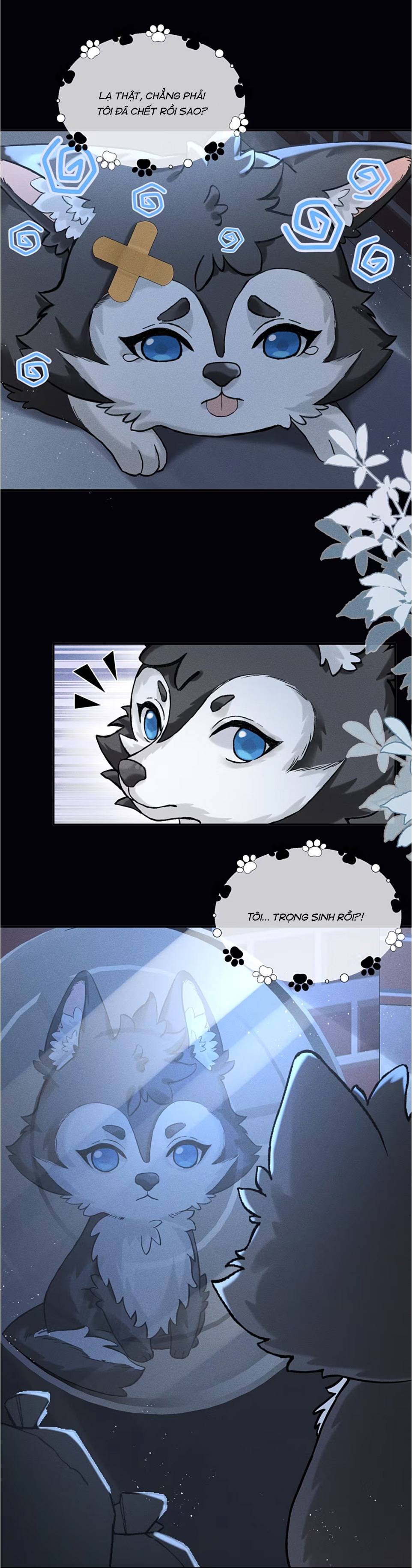 Nhận kẻ thù làm cha Chap 1 - Next Chap 2