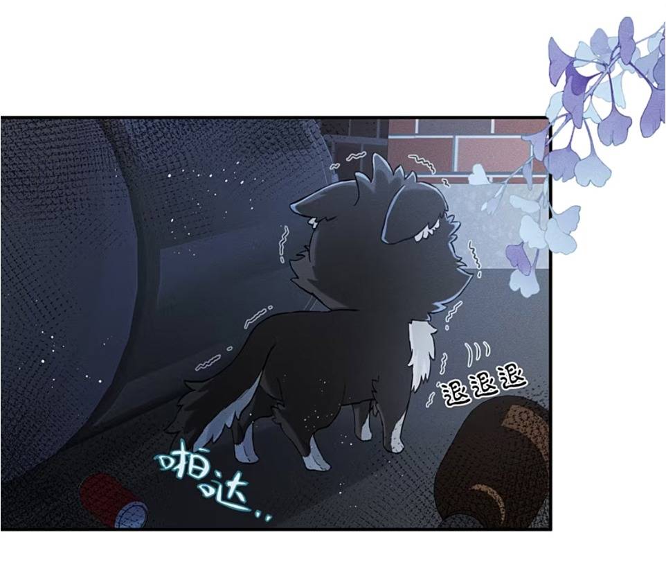 Nhận kẻ thù làm cha Chap 1 - Next Chap 2