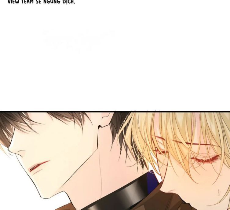 Nhân Ngư Rơi Xuống Chap 13 - Next Chap 14