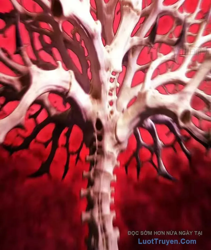 Nhân Sinh Quỷ Dị Chap 25 - Next Chap 26