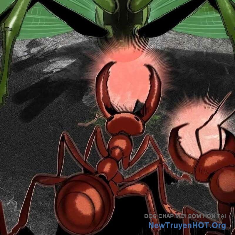 Nhân Trùng Đại Chiến Chap 165 - Next Chap 166
