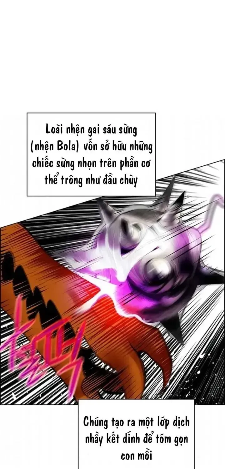 Nhân Trùng Đại Chiến Chap 205 - Next Chap 206