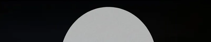 Nhân Vật Chính Chỉ Muốn Yêu Đương Chap 279 - Next Chap 280