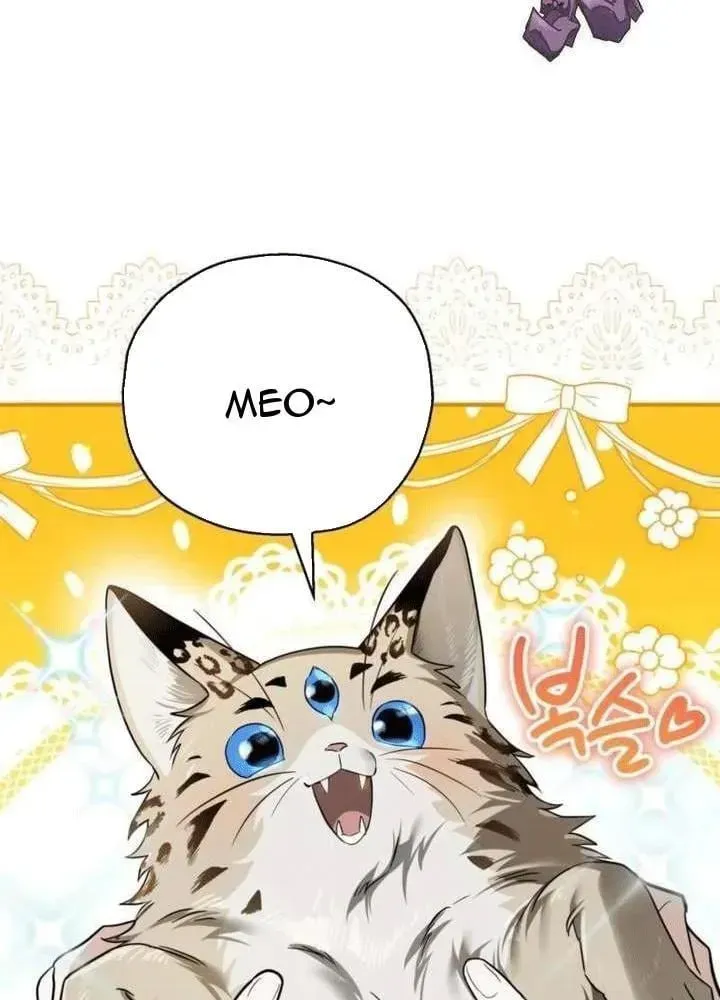 Nhân Viên Văn Phòng Nhìn Thấu Vận Mệnh Chap 3 - Next Chap 4