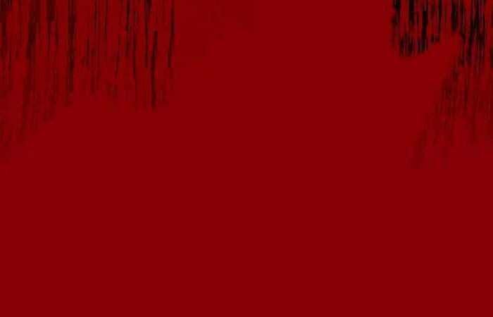 Nhật Hành Nhân Chap 17 - Next Chap 18