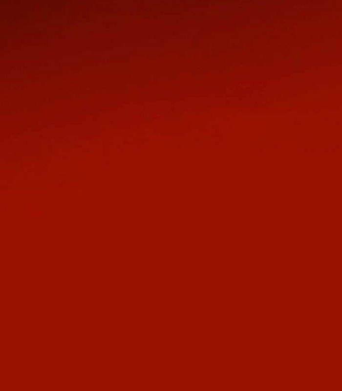 Nhật Hành Nhân Chap 26 - Next Chap 27