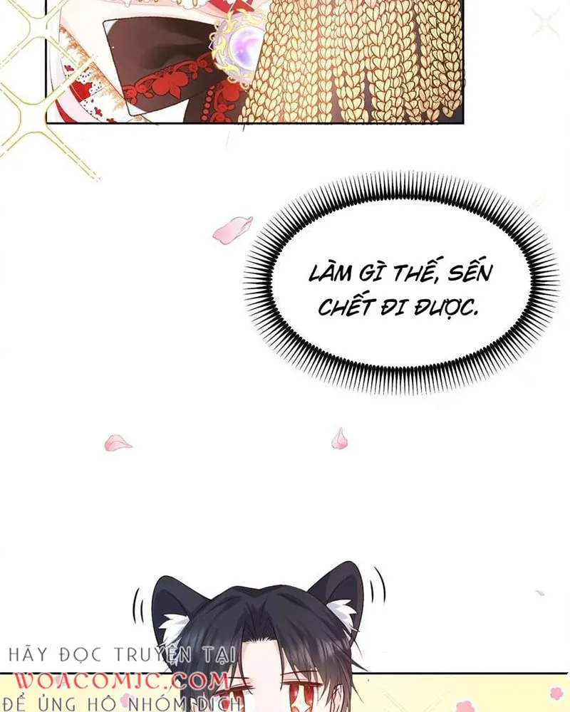 Nhật Ký Simp Của Bá Tước Chap 5 - Next Chap 6