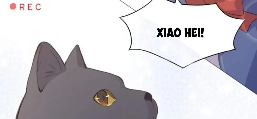 Nhìn Thấy Tia Sáng Một Lần Nữa Chap 4 - Next Chap 5