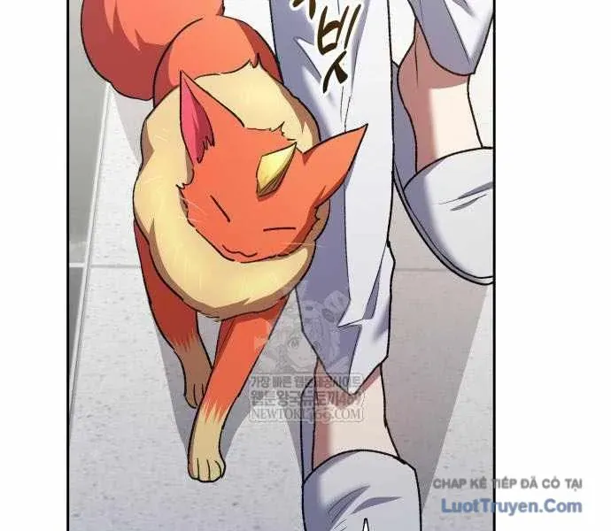Những Ranker Cấp S Mà Tôi Nuôi Dưỡng Chap 156 - Next Chap 157
